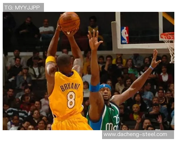 篮球明星与篮筐的传奇故事揭示了运动背后的坚持与梦想